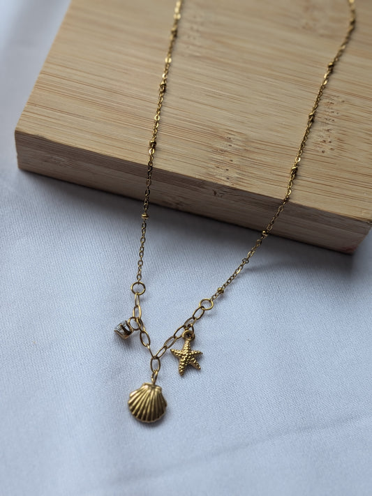 Collier coquillage dorée - acier inoxydable